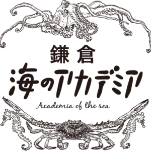 鎌倉 海のアカデミア2018